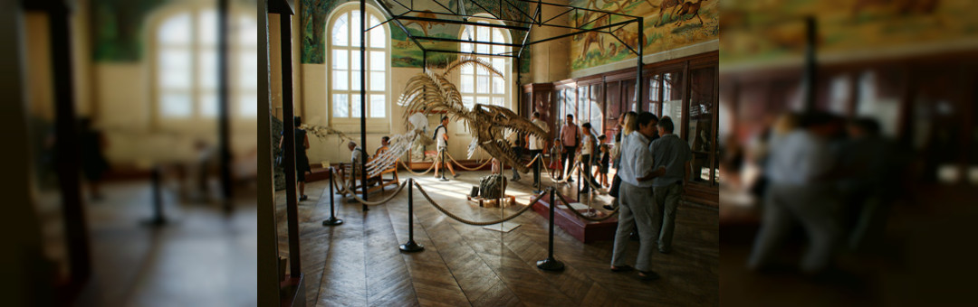 Le muséum d’Histoire naturelle