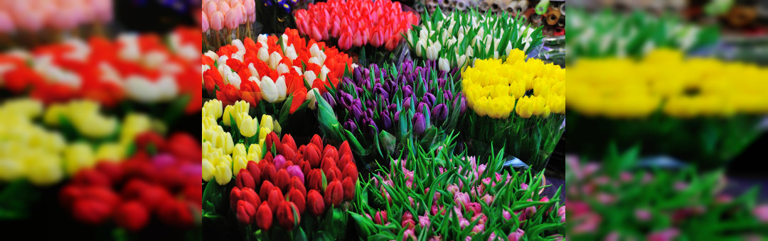 Marché aux fleurs Réformés