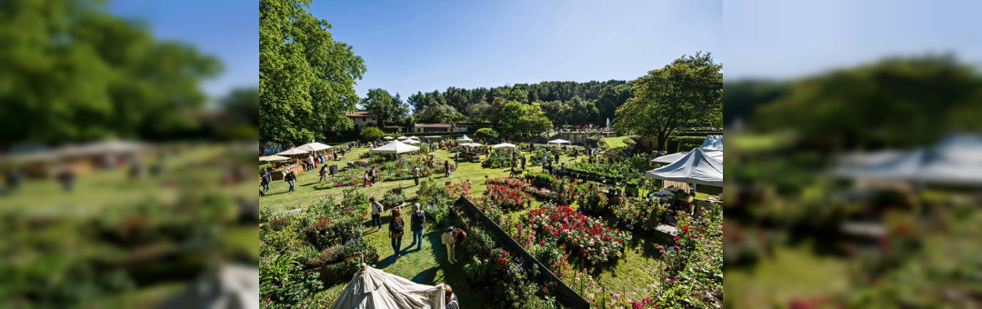 Les Jardins d’Albertas
