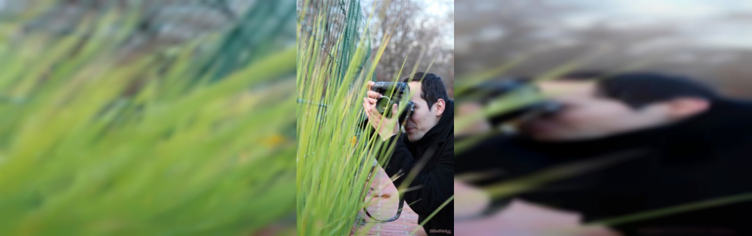 Cours photo : Sortez du mode Automatique !  Marseille – Jardin de la colline Puget