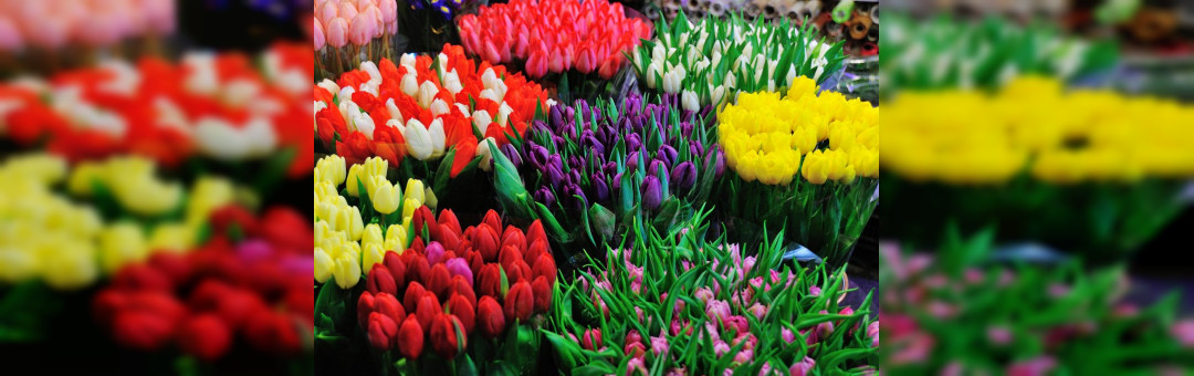 Marché aux fleurs des Réformés