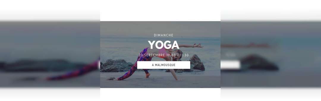 ★ Dimanche Yoga vue mer à Malmousque by Gecko Yoga ★