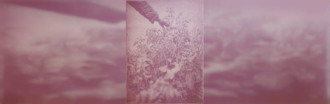 DE L’ANTHOTYPE AU GRATTE-CUL
