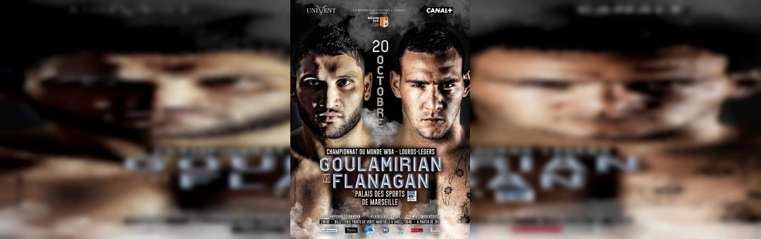 Championnat du monde de Boxe Anglaise