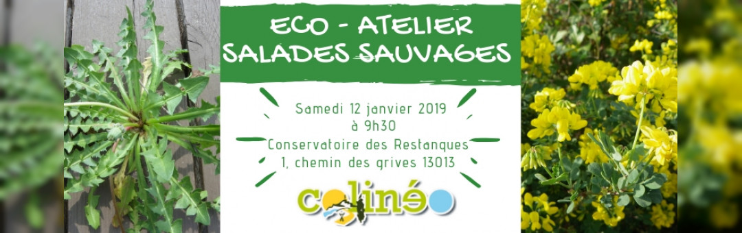 Eco Atelier Les Salades Sauvages