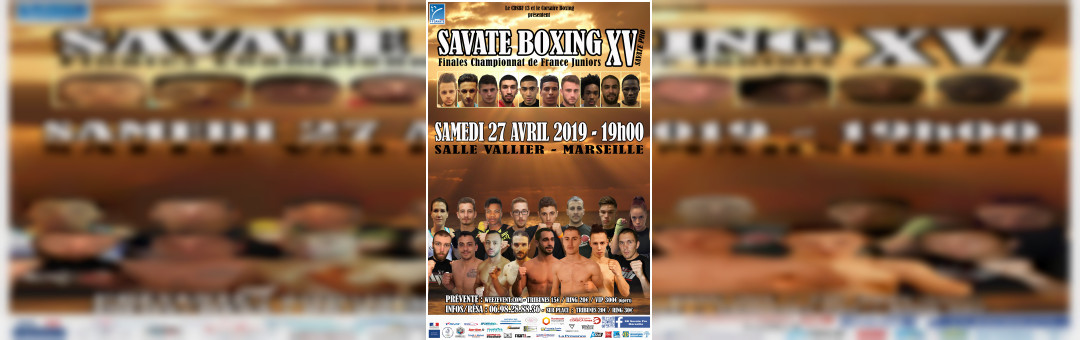 SAVATE BOXING XV