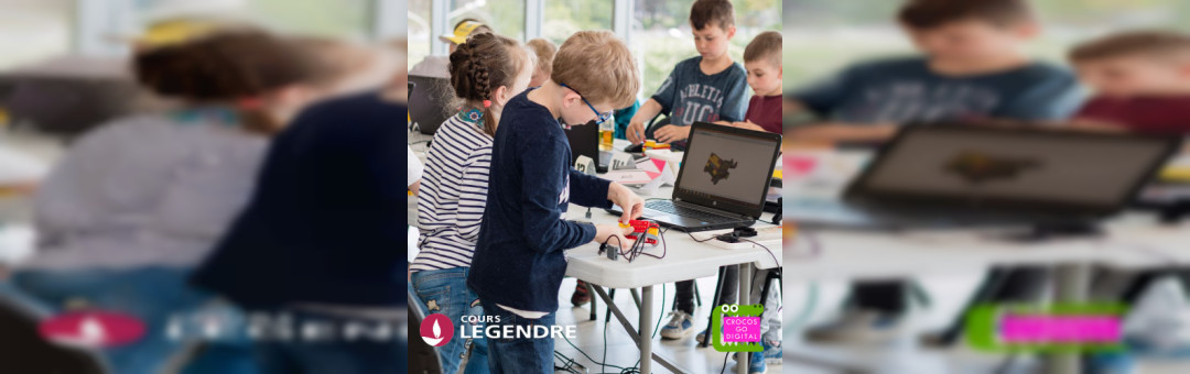 Stage demi-journées – multi-activités