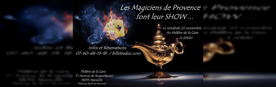 Les magiciens de Provence font leur show