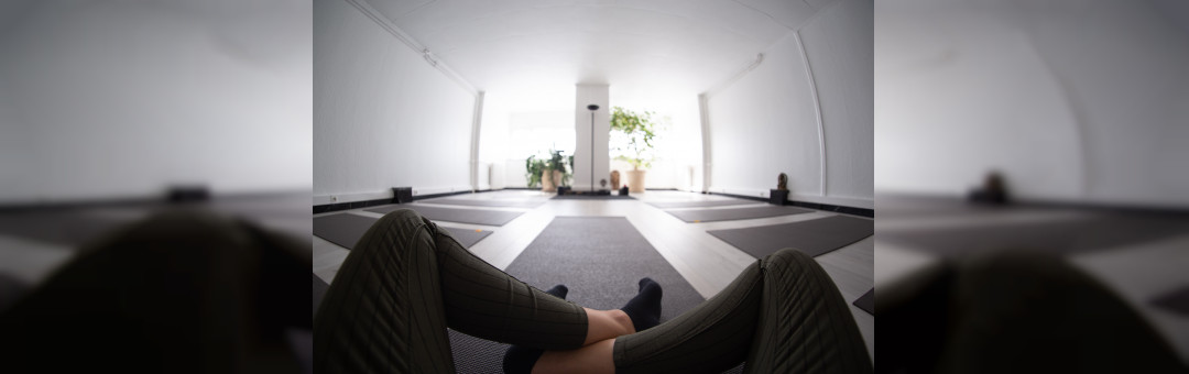 Formation personnelle et de professeurs de Hatha Yoga