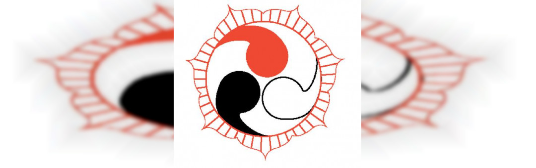 Iokai Shiatsu Association