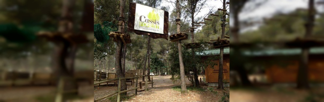 Cassis Forest