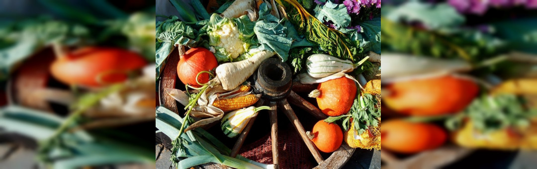 Le marché de producteurs locaux de Carré Mery