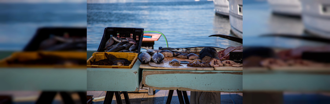 Marché aux poissons du Vieux-Port