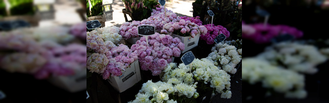 Marché aux fleurs du Prado