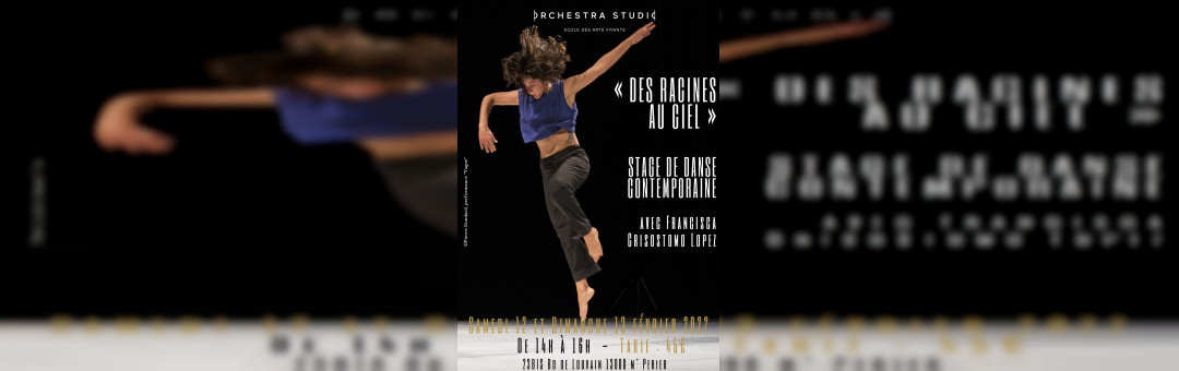 DES RACINES AU CIEL – WORKSHOP DANSE CONTEMPORAINE