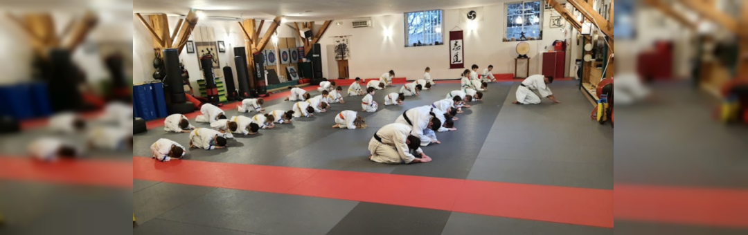 Shorin Ryu France