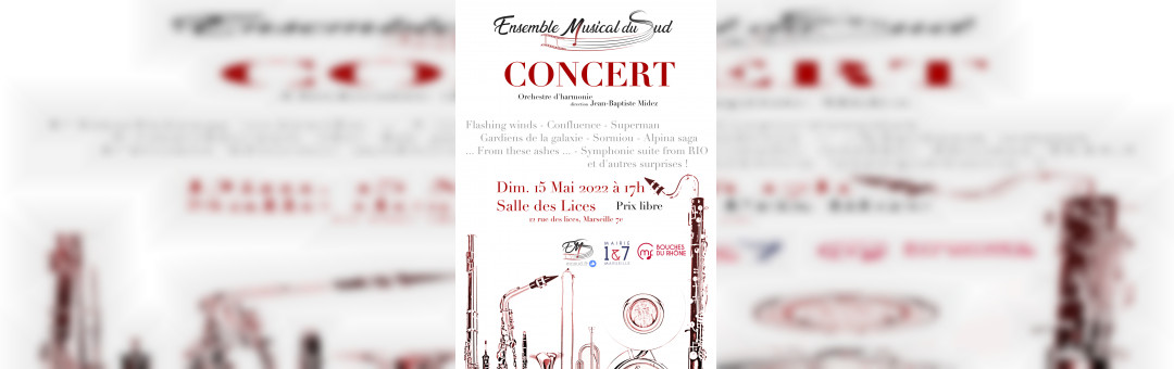 CONCERT DE L&rsquo;ENSEMBLE MUSICAL DU SUD