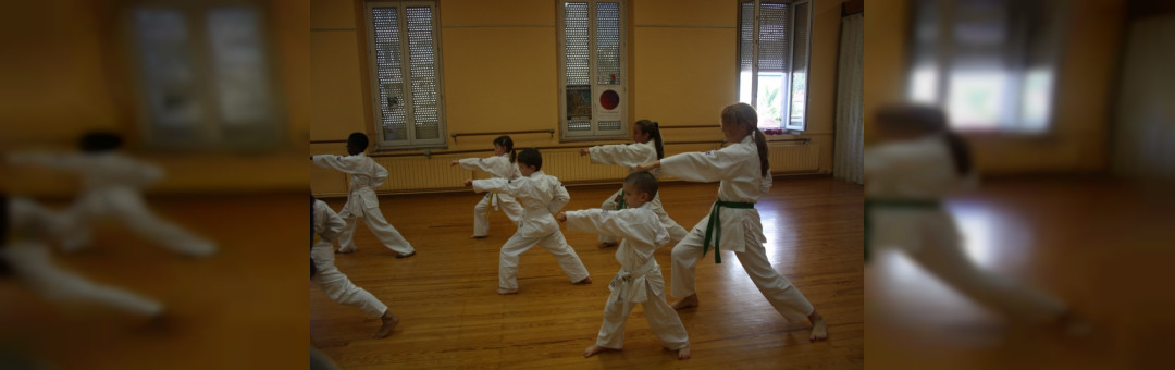 Shinsei Karaté Club