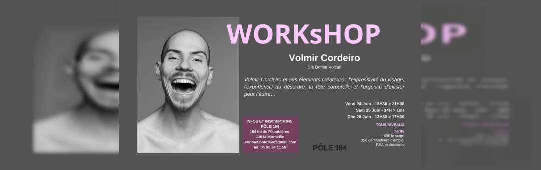 Workshop VOLMIR CORDEIRO