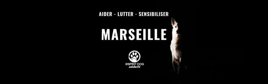 Tournée Esprit Dog Solidarité – Marseille