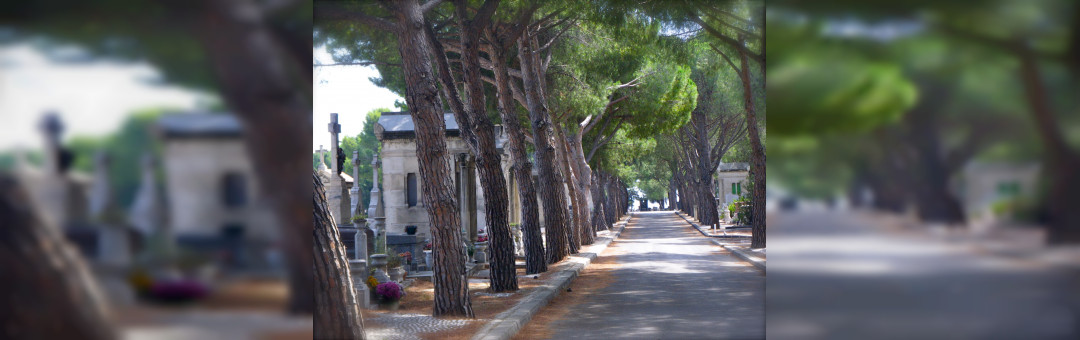 Cimetière Saint-Pierre