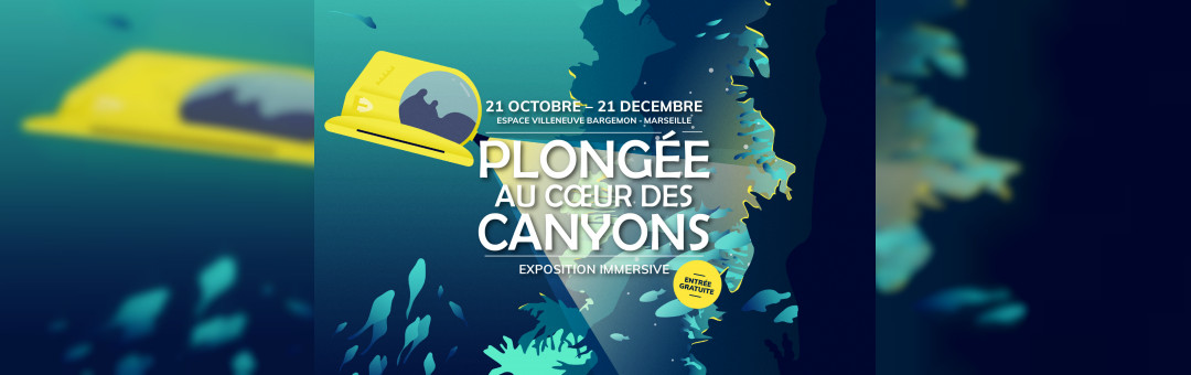 Plongée au coeur des canyons