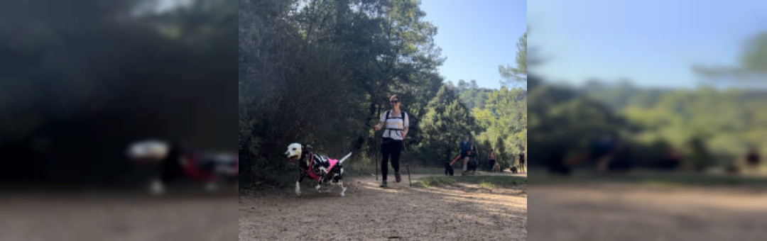 Marche nordique Canine Sainte Victoire