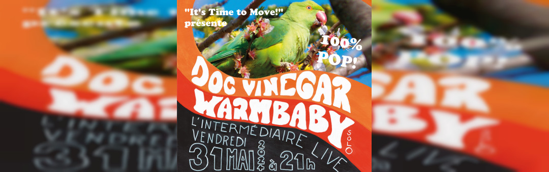 Concert  100% Pop avec Doc Vinegar + Warmbaby solo