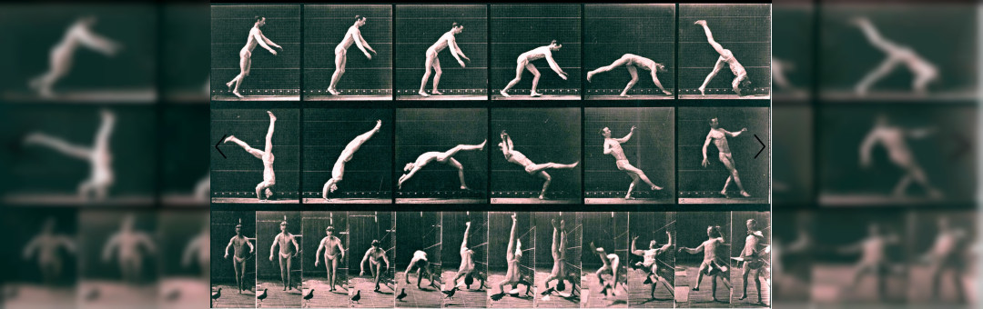 Atelier Acrobaties