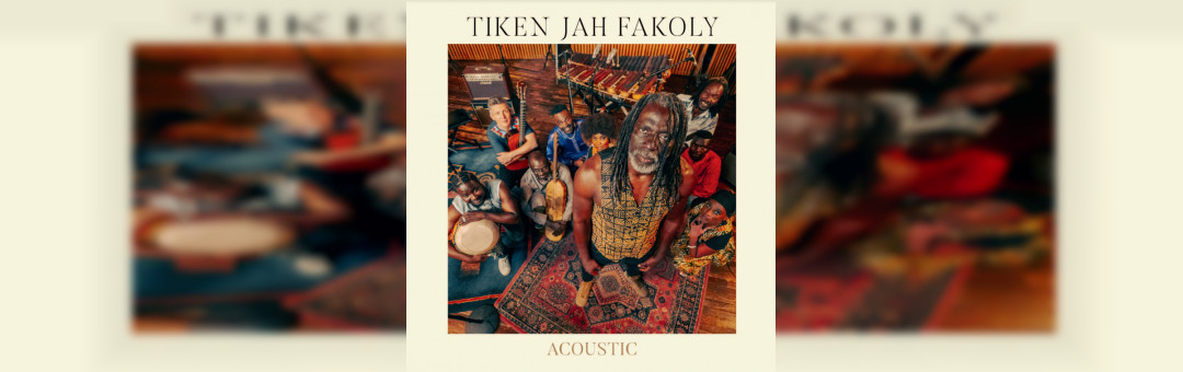 Tiken Jah Fakoly en concert