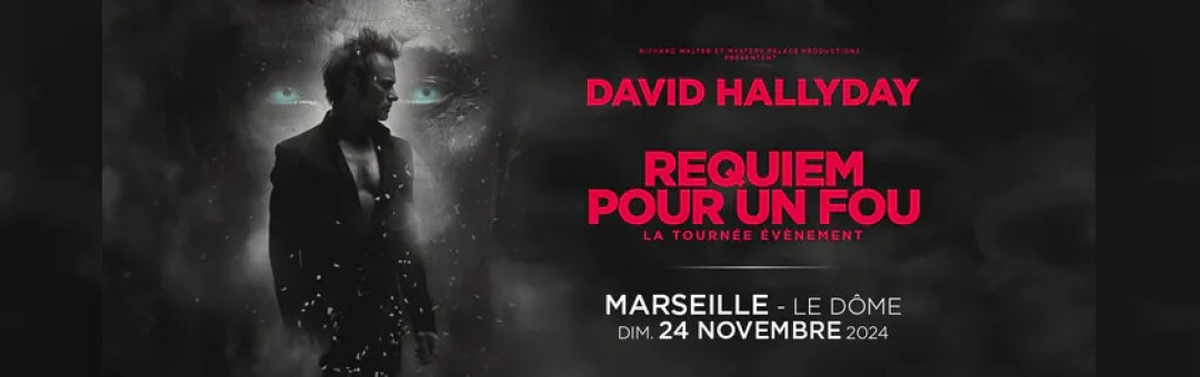 DAVID HALLYDAY – REQUIEM POUR UN FOU