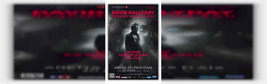 David Hallyday – Requiem pour un fou