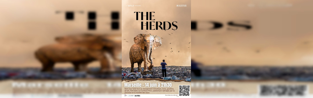 THE HERDS