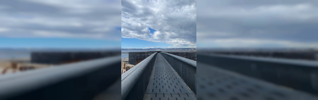 Les différentes expos du MUCEM : été 2025 !