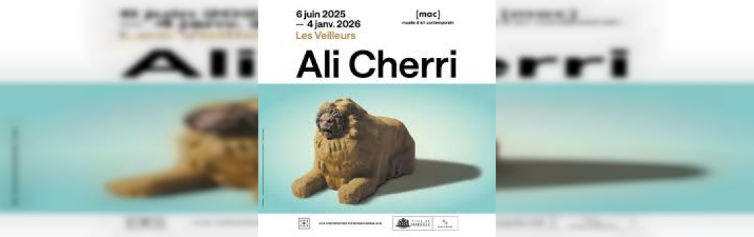 Expo Ali Cherry au Mac : Les Veilleurs