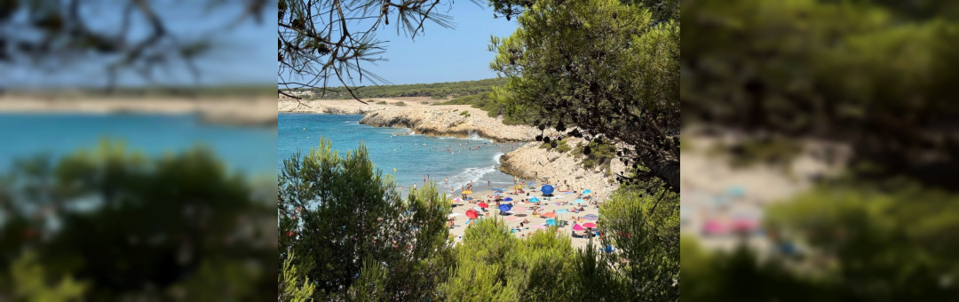 Plage de Sainte – Croix : La Couronne