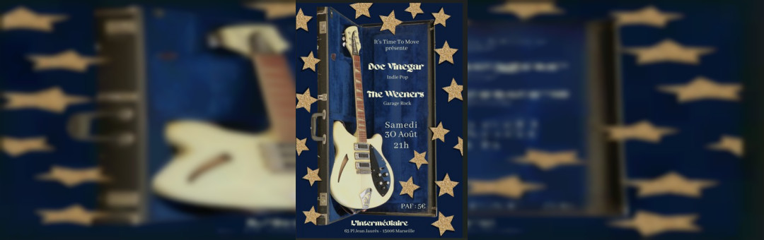 Concert indie pop / Garage Rock avec Doc Vinegar, The Weeners