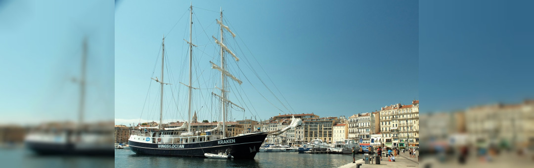 Embarquez à bord du Kraken, le bateau de Wings of the Ocean