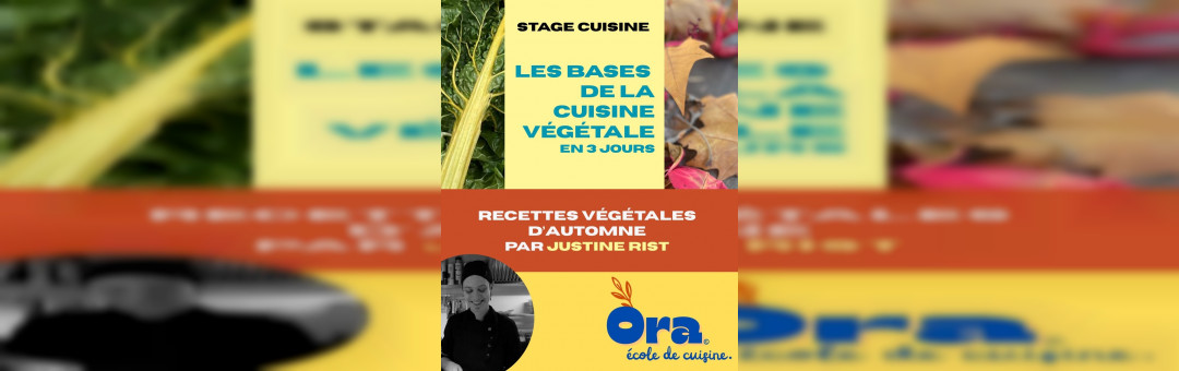 Stage : Les Bases de la cuisine végétale en 3 jours