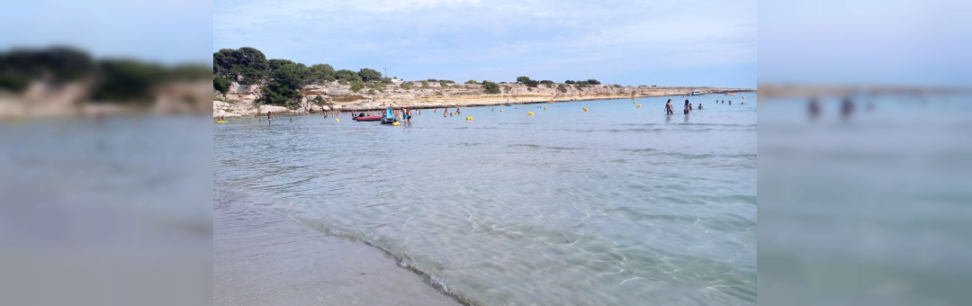 Bain du 11 Janvier plage de Carro : par ici la bonne soupe