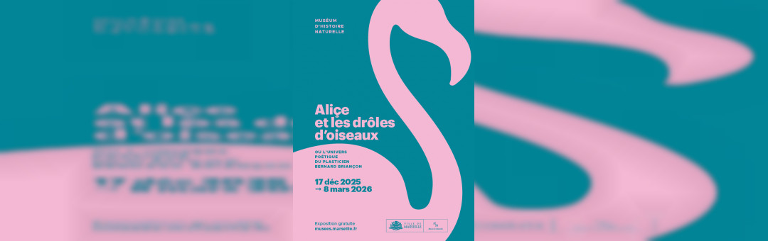 Alice et les drôles d&rsquo;oiseaux au Muséum d&rsquo;histoire naturelle !