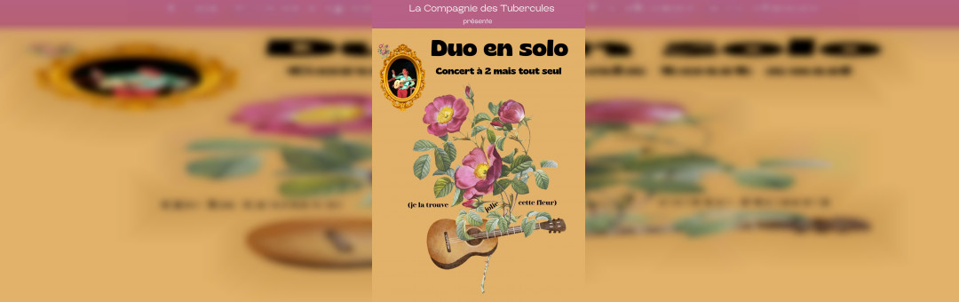 Duo en solo – Concert à 2 mais tout seul