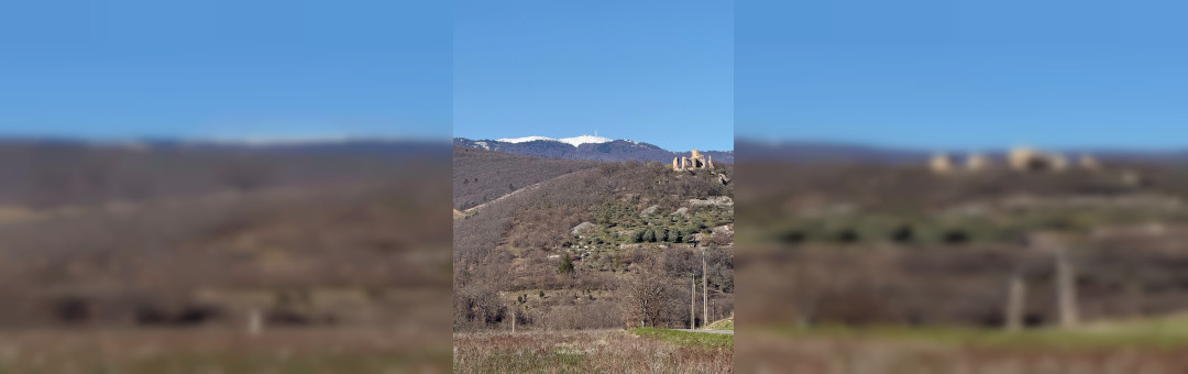 Aller faire de la luge gratuitement à moins de 2 heures de Marseille : La Montagne de Lure !