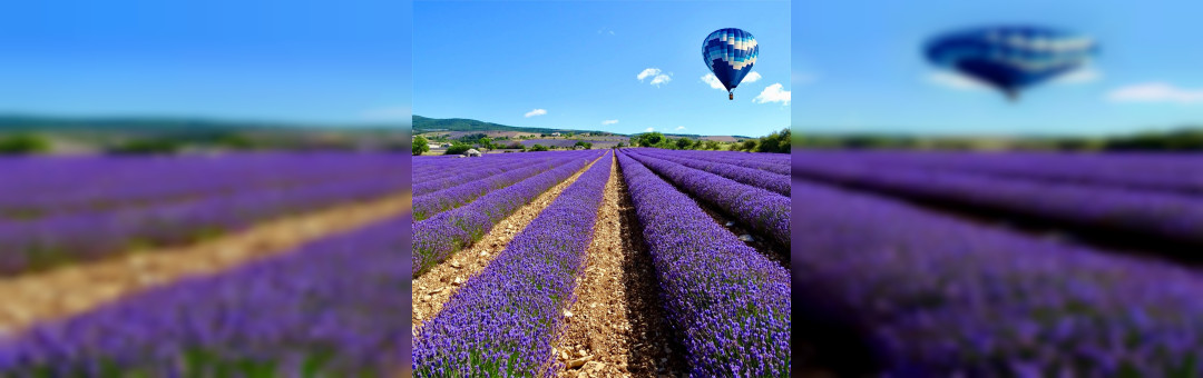 Vol en Montgolfière : La Provence vue du ciel !