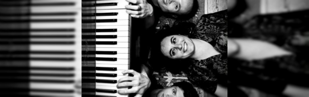 LMN Trio du swing jazz frenchy à Aubagne !