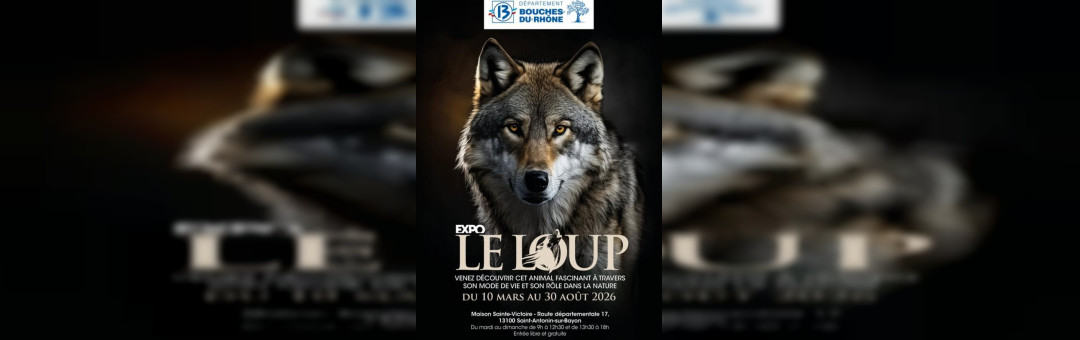 Le loup à la maison Sainte Victoire