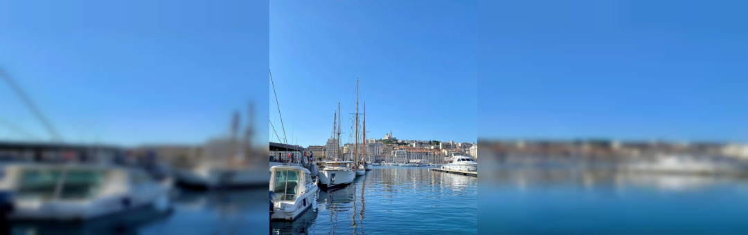 Salon Viving au Parc Chanot