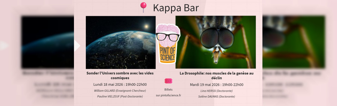 La Drosophile: nos muscles de la genèse au déclin – Pint of Science 2026