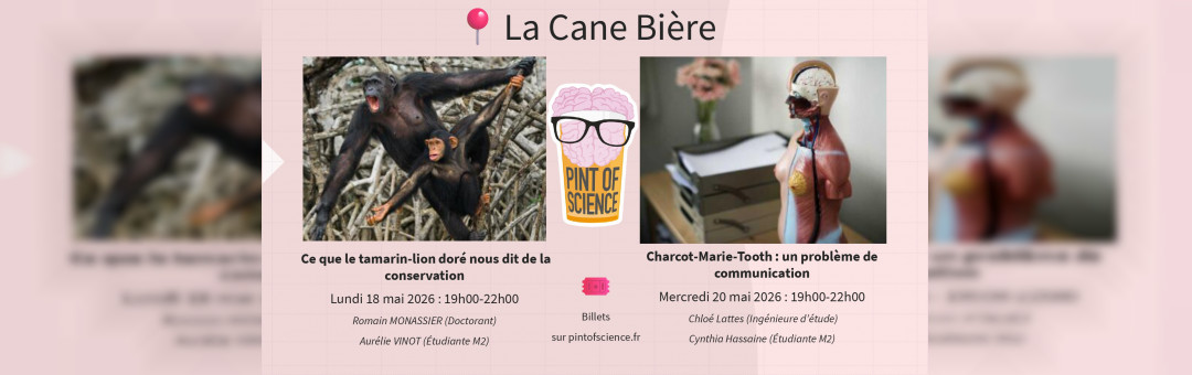 Charcot-Marie-Tooth : un problème de communication