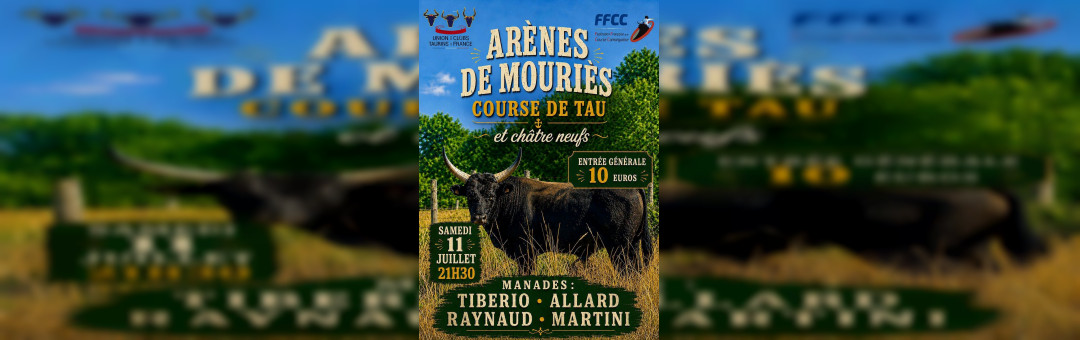 Assistez à une course de tau dans les Arènes de Mouriès !